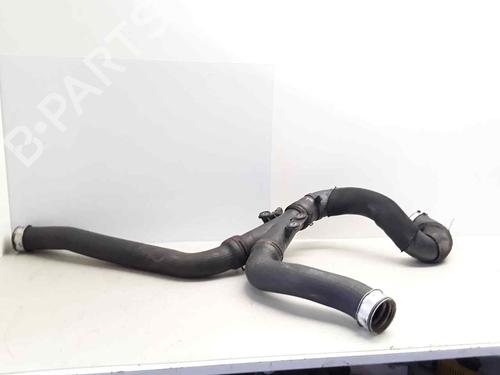 Tuyau VW PHAETON (3D1, 3D2, 3D3, 3D4, 3D6, 3D7, 3D8, 3D9) 3.0 V6 TDI 4motion | BP17393459M125