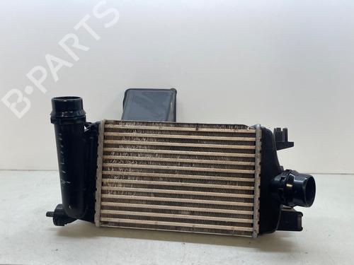 Intercooler NISSAN MICRA V (K14)  | BP26223021M30 