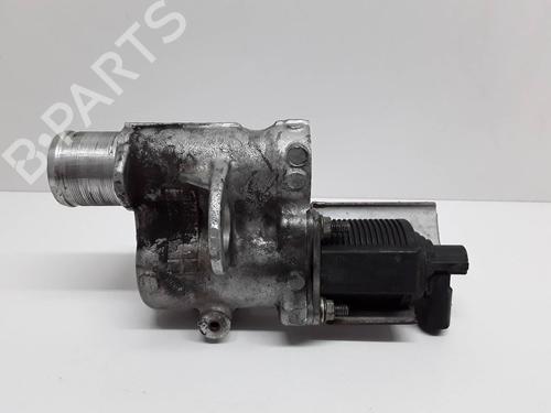 Egr RENAULT MEGANE II (BM0/1_, CM0/1_)  | BP8894163M69 