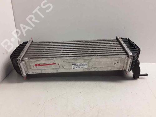 Intercooler RENAULT KANGOO / GRAND KANGOO II (KW0/1_) 1.5 dCi 90 (KW05, KW08, KW0G, KW11) | BP29437169M30 