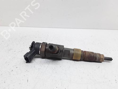 Injector FORD FIESTA VI (CB1, CCN) 1.5 TDCi | BP15720610M100 