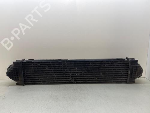 Intercooler FORD S-MAX (WA6)  | BP29262513M30 