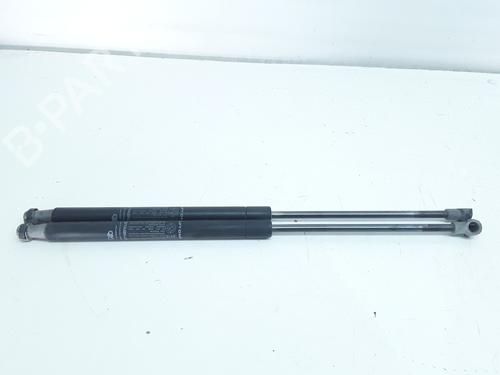Used Right rear shock absorber FIAT PUNTO (199_) 1.2 (199AXZ1A, 199BXZ1A) (69 hp) 15180693