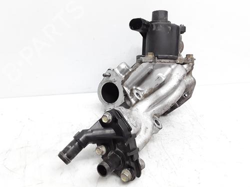 Egr RENAULT MEGANE II (BM0/1_, CM0/1_) | BP8126446M69
