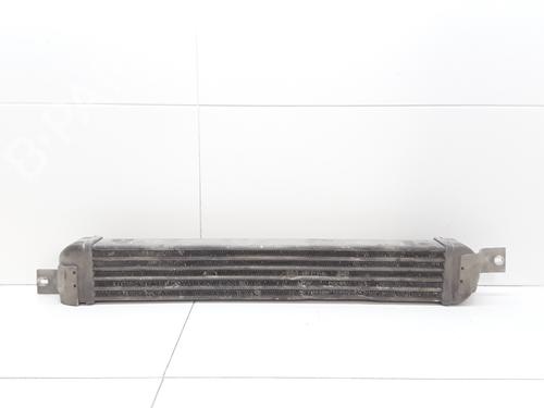 Intercooler OPEL MERIVA A MPV (X03) 1.7 CDTI (E75) | BP13653463M30