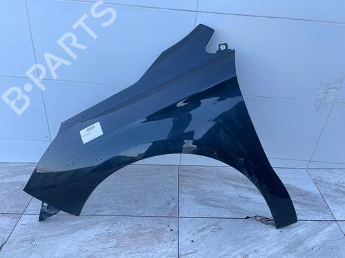 Left front fenders CITROËN C4 II (NC_) | BP31117917C41