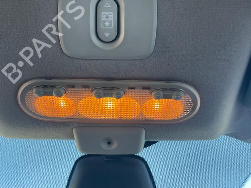 Innerbelysning NISSAN QASHQAI / QASHQAI +2 I (J10, NJ10, JJ10E) [2006-2014]  22714549