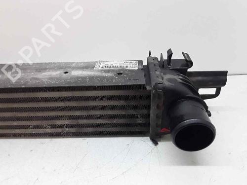 Intercooler CITROËN NEMO Box Body/MPV (AA_) | BP23534650M30