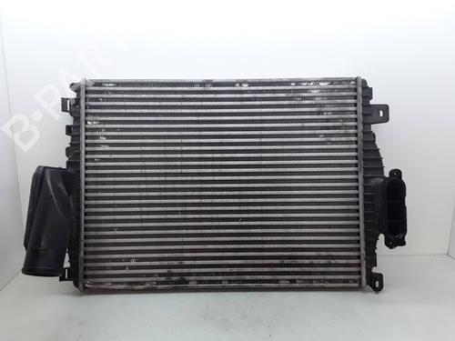 Ladeluftkühler für JAGUAR S-TYPE II (X200) 2.7 D (207 hp) 30441169