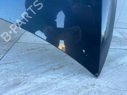 Hood CITROËN C4 II (NC_) | BP31117919C1