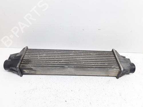 Used Intercooler SSANGYONG REXTON / REXTON II (GAB_) 2.7 Xdi (163 hp) 16331999