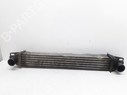 Intercooler FIAT FIORINO Box Body/MPV (225_) 1.3 D Multijet (225BXD1A, 225BXB1A, 225BXB11) | BP20179160M30