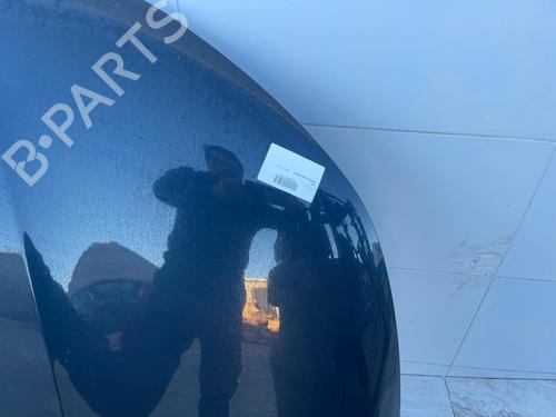 Hood CITROËN C4 II (NC_) | BP31117919C1