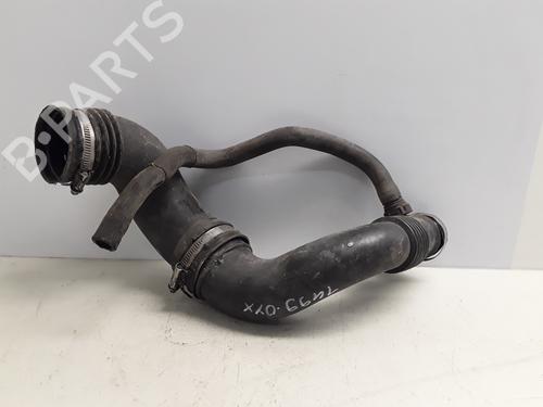 Rør RENAULT SCÉNIC II (JM0/1_) 1.9 dCi (JM0G, JM12, JM1G, JM2C) | BP17088810M125 