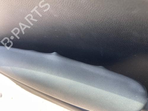 Front left panel MINI MINI (R56)  | BP25841886C58 