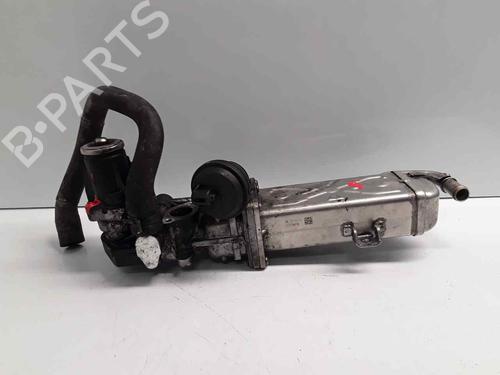 Used Egr VW GOLF VI (5K1) [2008-2014]  31086828