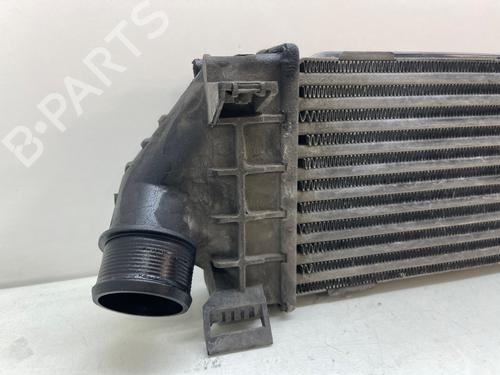 Intercooler FORD S-MAX (WA6)  | BP29262513M30 