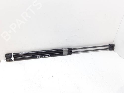 Used Tailgate lift support HYUNDAI SANTA FÉ I (SM) 2.0 CRDi (113 hp) 14141062