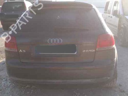 Tailgate AUDI A3 (8P1)  | BP7476425C6 