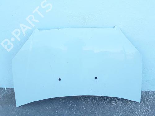 Hood FIAT DOBLO Box Body/MPV (223_) 1.3 D Multijet | BP11601363C1 
