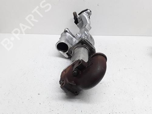Egr RENAULT MEGANE II (BM0/1_, CM0/1_) 1.5 dCi (BM1F, CM1F) | BP17317081M69 