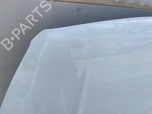 Hood FORD KUGA II (DM2)  | BP29313676C1 