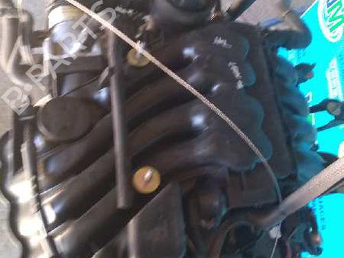 Engine SEAT LEON (1M1)  | BP7467371M1 