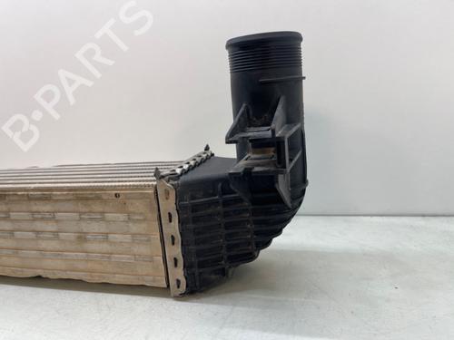 Intercooler SEAT IBIZA IV (6J5, 6P1)  | BP22334225M30 