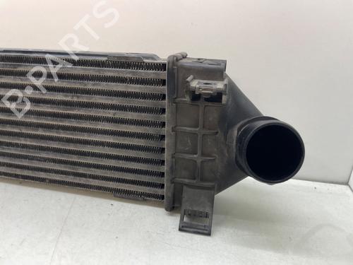 Intercooler FORD S-MAX (WA6)  | BP29262513M30 