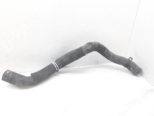Used Pipe RENAULT SCÉNIC III (JZ0/1_) [2008-2016]  14141026