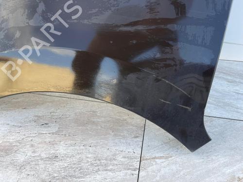 Left front fenders OPEL MOVANO B Van (X62) | BP30569747C41