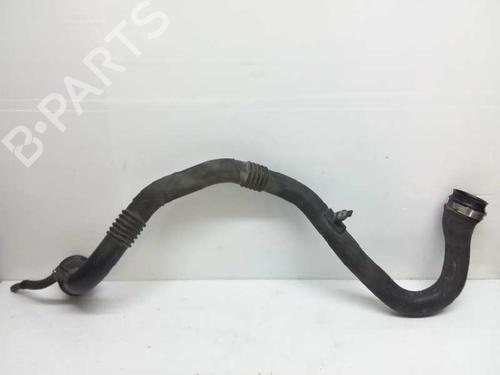 Pipe DACIA SANDERO II  | BP14141985M125 