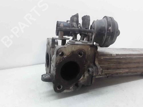 Egr AUDI A3 (8P1)  | BP24494078M69 