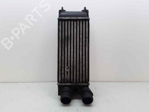 Intercooler PEUGEOT 308 I (4A_, 4C_)  | BP22302427M30 