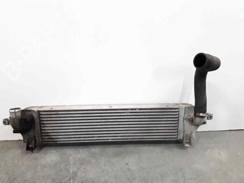 Used Intercooler NISSAN QASHQAI I (J10, NJ10) [2006-2015]  22602606