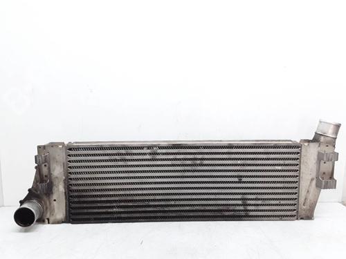Intercooler RENAULT MEGANE II (BM0/1_, CM0/1_) 1.5 dCi (BM1E, CM1E) (106 hp) 8181877