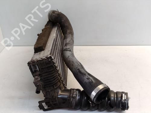 Intercooler FORD FOCUS III | BP36937382M30 - Image 2