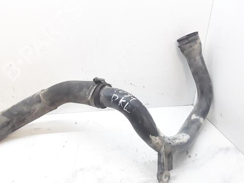 Used Pipe NISSAN ALMERA II (N16) 2.2 Di (110 hp) 14141027