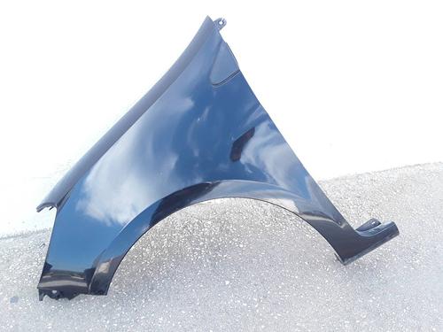 Left front fenders RENAULT CLIO III (BR0/1, CR0/1) 1.5 dCi (BR17, CR17) | BP11787486C41 