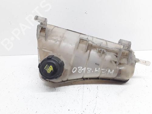 Used Expansion tank RENAULT KANGOO / GRAND KANGOO II (KW0/1_) 1.5 dCi 70 (KW0V, KW0A) (68 hp) 18510920