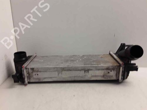 Intercooler RENAULT KANGOO / GRAND KANGOO II (KW0/1_) 1.5 dCi 90 (KW05, KW08, KW0G, KW11) | BP29437169M30 