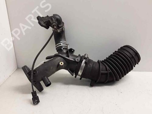 Rohr für RENAULT CLIO IV (BH_) [2012-2021]  21576116