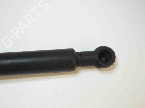 Hood lift support BMW 3 (E90) 320 d | BP14814131C139 