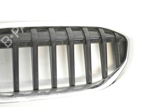 Grille BMW 5 (G30, F90) M5 | BP8000677C40 