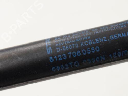 Hood lift support BMW 3 (E90) 320 i | BP14767024C139 