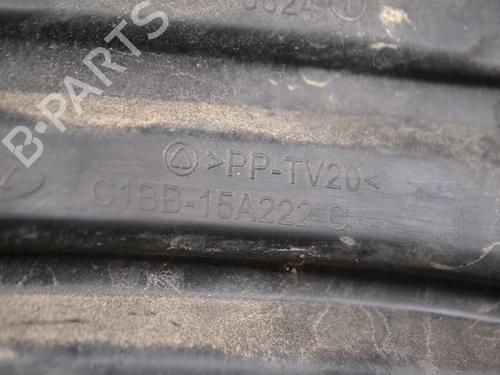 Grille FORD FIESTA VI (CB1, CCN) 1.0 EcoBoost | BP14783635C40 