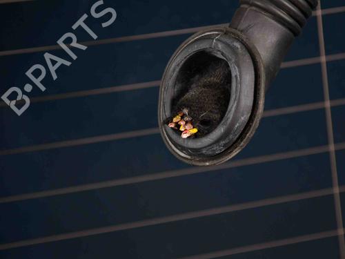 Tailgate MINI MINI (R56) Cooper SD | BP22357039C6 