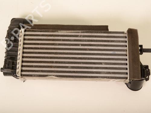 Used Intercooler FORD C-MAX II (DXA/CB7, DXA/CEU) 1.5 TDCi (95 hp) 19943573