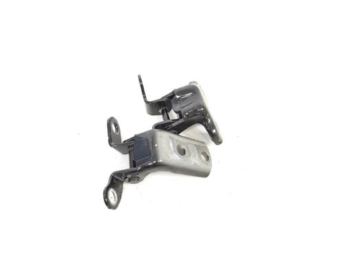 Hinge/Door check strap TOYOTA C-HR (_X1_) 1.8 Hybrid (ZYX10_, ZYX11_, ZYX10R, ZYX11R) | BP21386891C146 