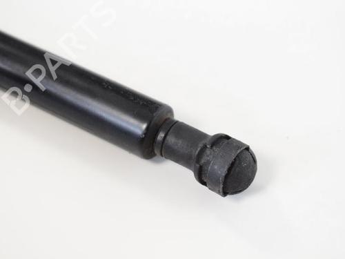 Hood lift support BMW 3 Coupe (E92) 320 i | BP14818361C139 
